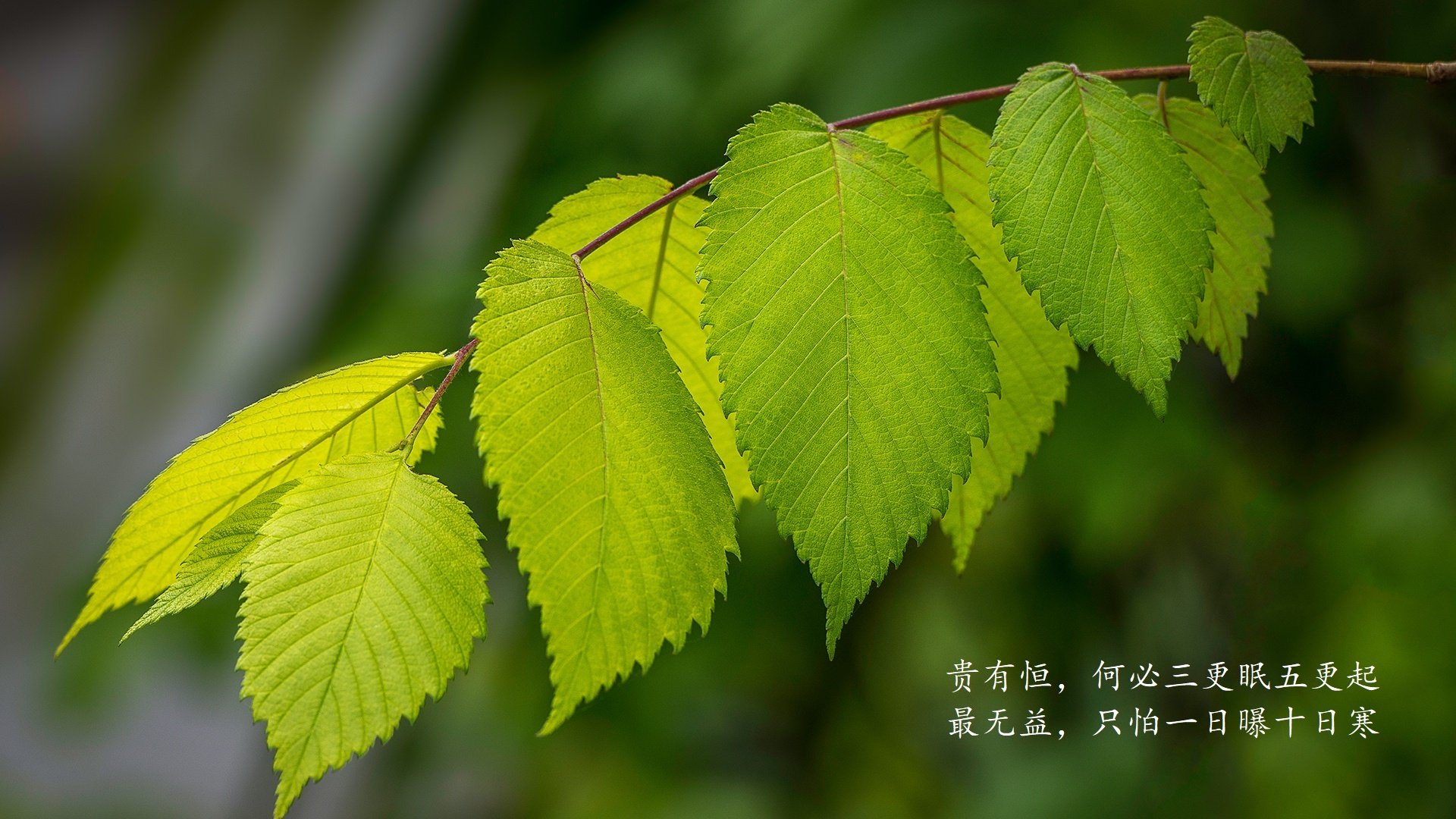 中国篮球联合会加强运动员权益保护,营造良好行业环境,篮球比赛保障人员