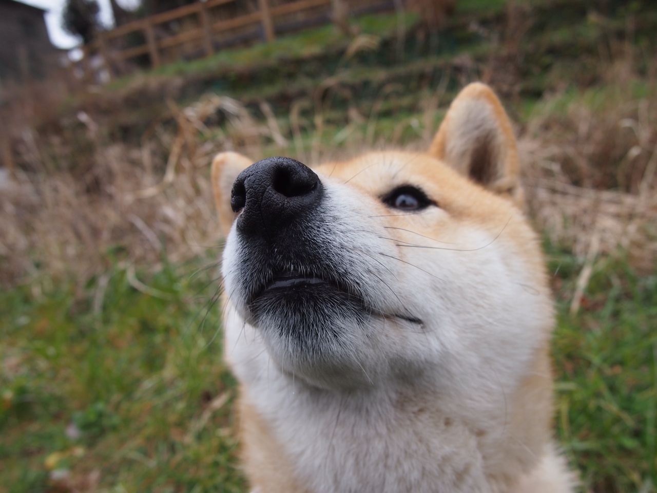 全国足球青训项目推动基层足球发展，中国足球青训改革