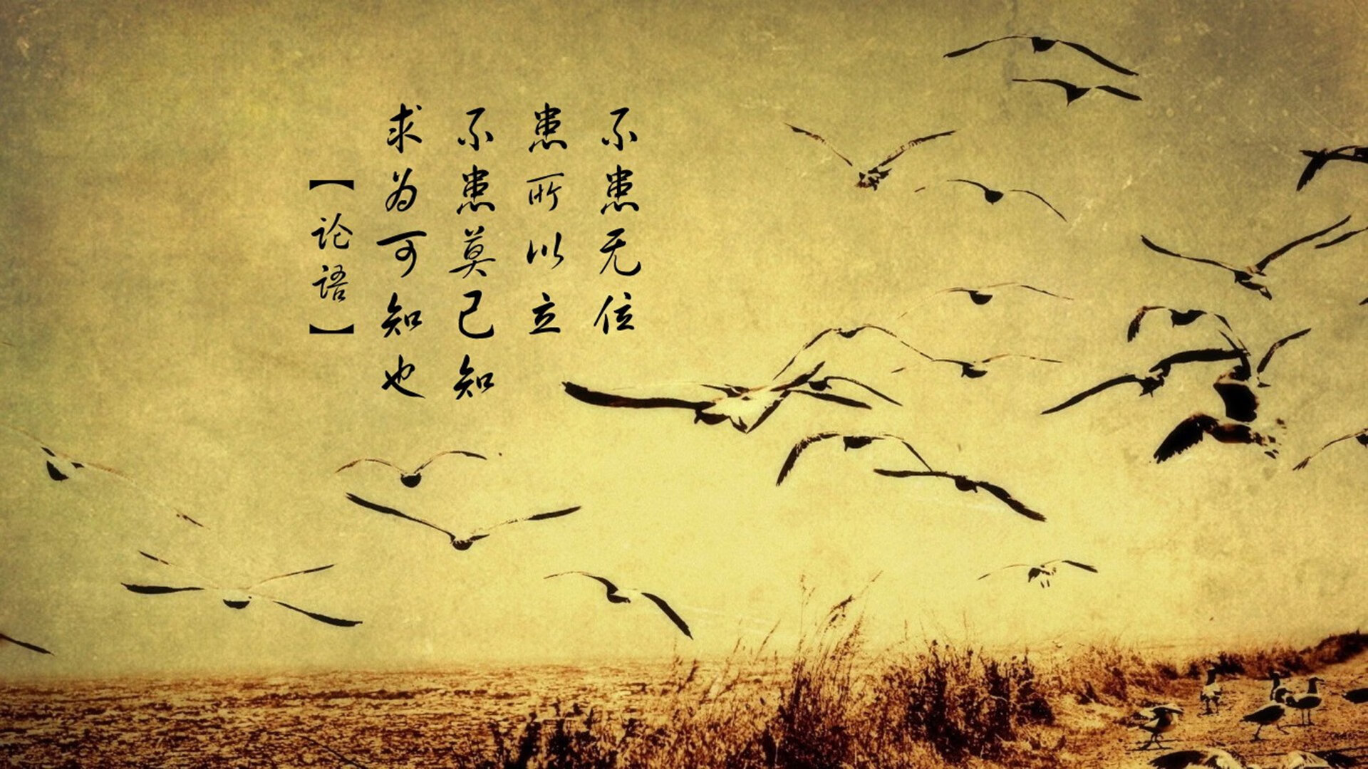 开云kaiyun-德国在巴黎奥运会上获得33枚奖牌，排名第10，德国奥运会金牌最多是哪一届